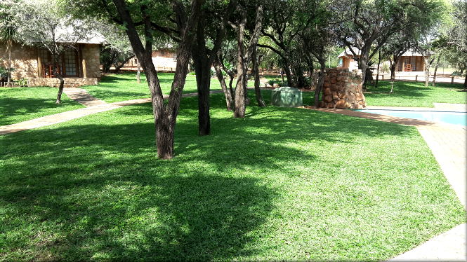 chalets set amongst various types of indigenous Acacia trees